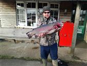 11.5lb