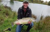 Big brown