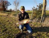 9lb Brown