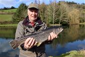 3 Rainbows, 3lb 4oz