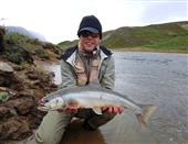Arctic Char