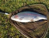 Fishing with Buzzer