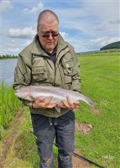 16lb 4oz Rainbow 