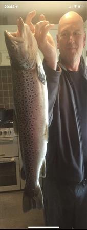 Best Brown ever!