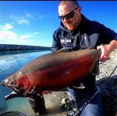 Rainbow trout
