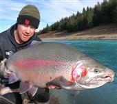 Rainbow trout