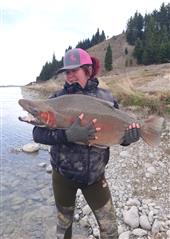 Rainbow trout