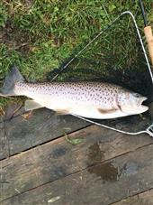 8lb Beauty!