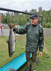 Swedish Salmon 
