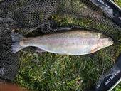 Rainbow 7th oct