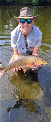 Belting Barbel