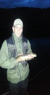 1lb 8oz brownie