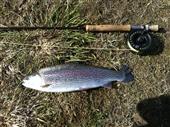 Fishing at Glenfarg