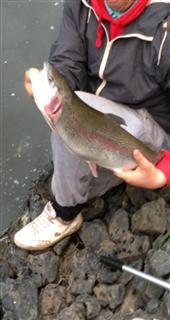 CDC Catch