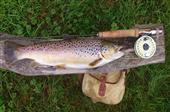 Whopper on the wand