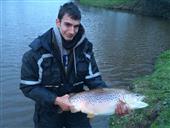 17.3lb brownie
