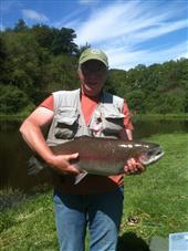 newmill trout