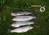 Rainbows from Weston