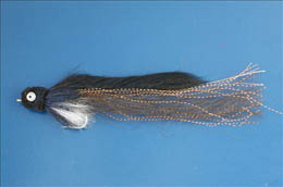 Neil's Eel