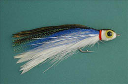 Robin's Anchovy