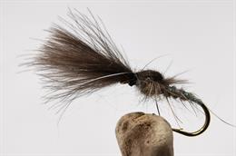 Shuttlecock Hare's Ear CDC