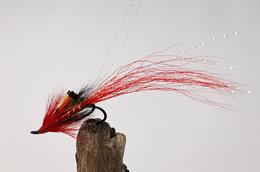 Ally's Shrimp Red