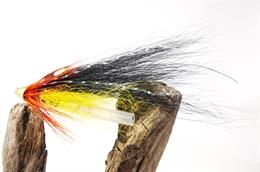 Cascade Dog JC
