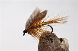Wickham's Fancy Wet