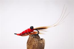 Red Francis Shrimp
