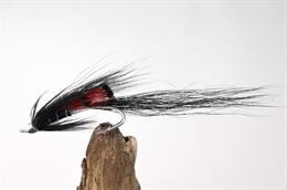 Black Ally's Shrimp