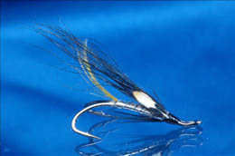 Silver Stoat LWD