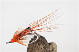 Ally's Shrimp LWD