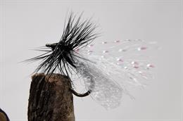 Sparkle Gnat