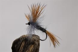 Grey Wulff Mayfly