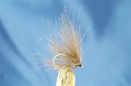 CDC Palmer Natural