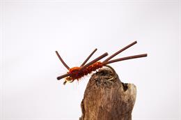 X Legged GH Brown