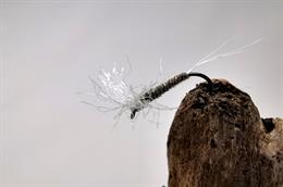 Hern's Caenis Dry