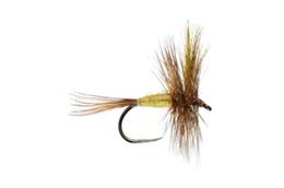 March Brown