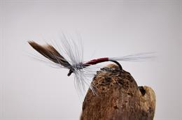 Oakden's Claret