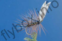 Mole Fly