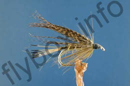 Sooty Olive