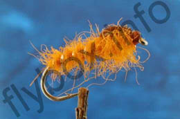 Cove's Orange Nymph