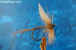 Rushworth Red Quill