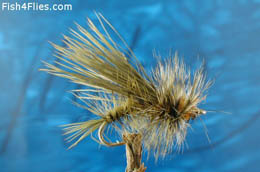 Olive Stimulator