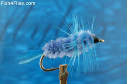 Hern's Blue Montana