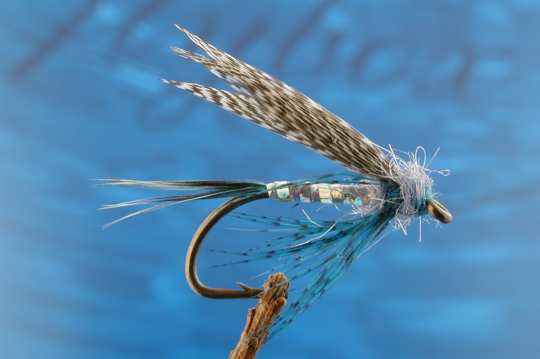 Wigeon & Silver