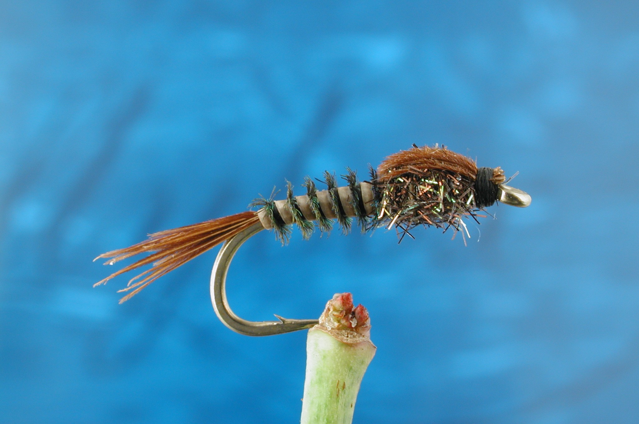 Peacock Nymph