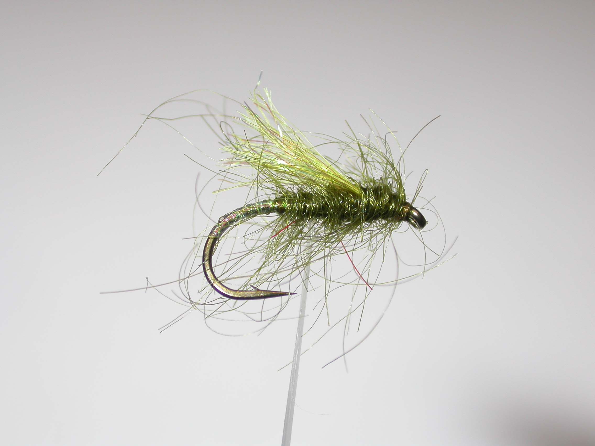 Olive Lake Bit