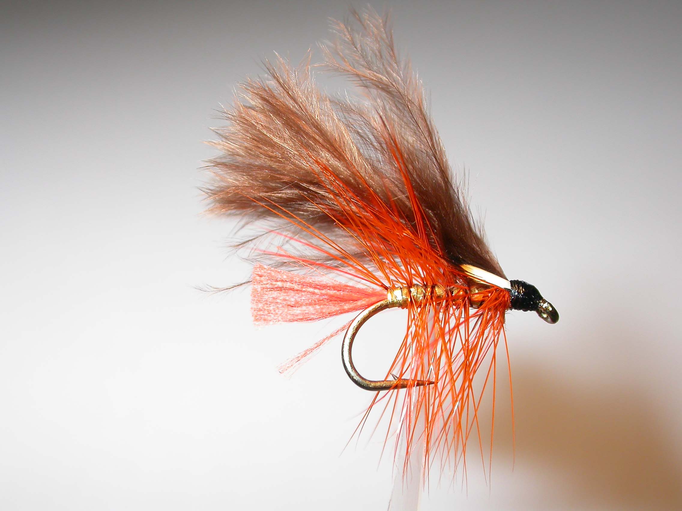 Dunkeld JC Single