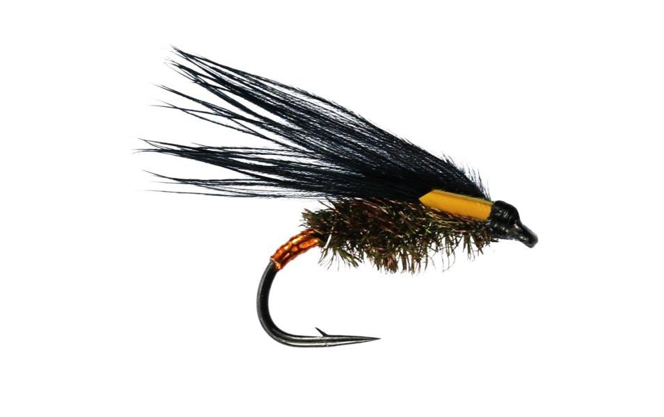 Cormorant JC